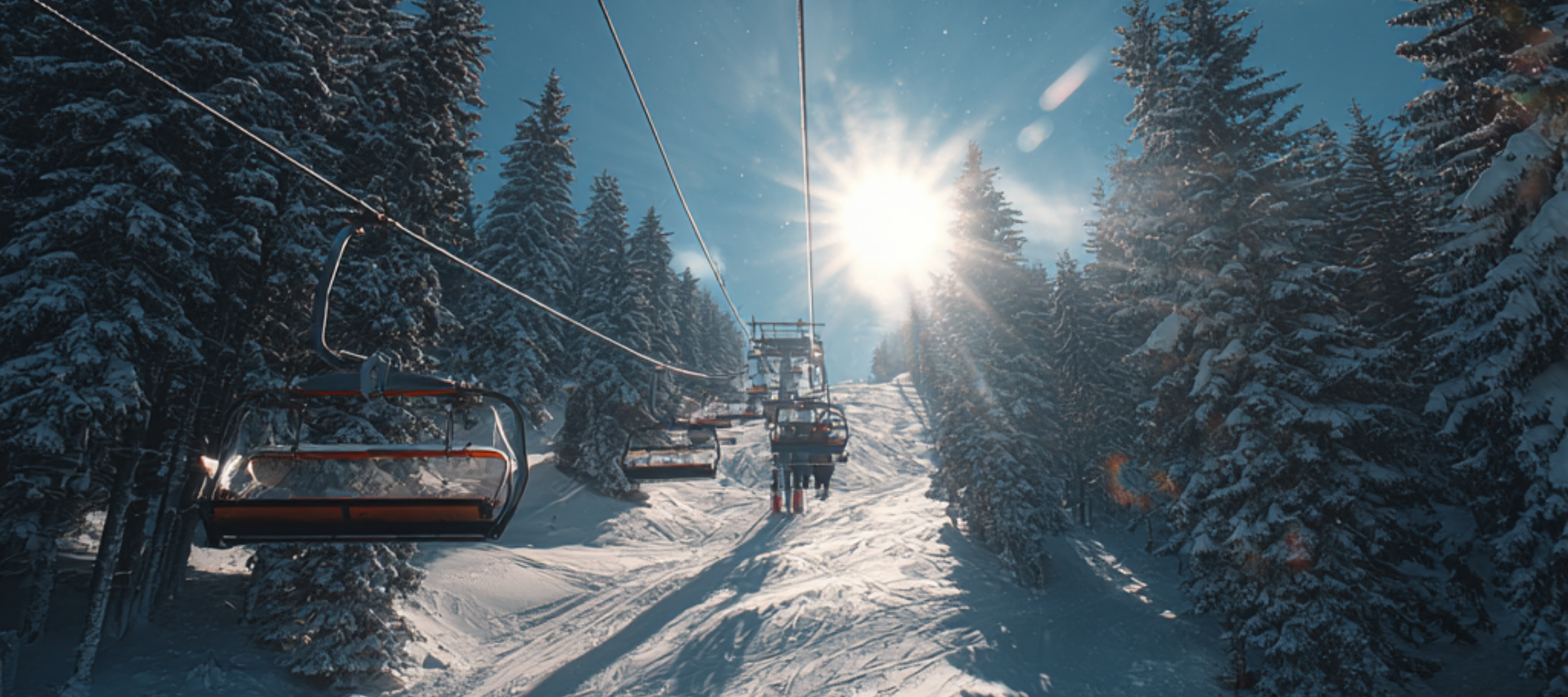 Koude dagen