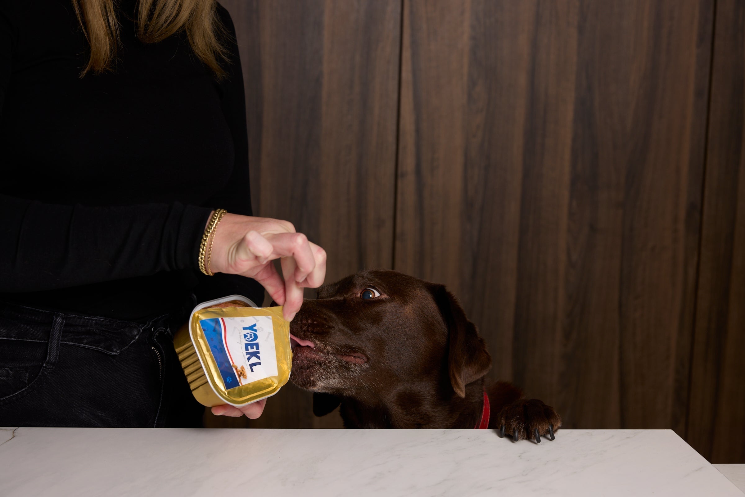 Droogvoer vs Natvoer: Wat is nu eigenlijk het verschil en wat kiest jouw hond?