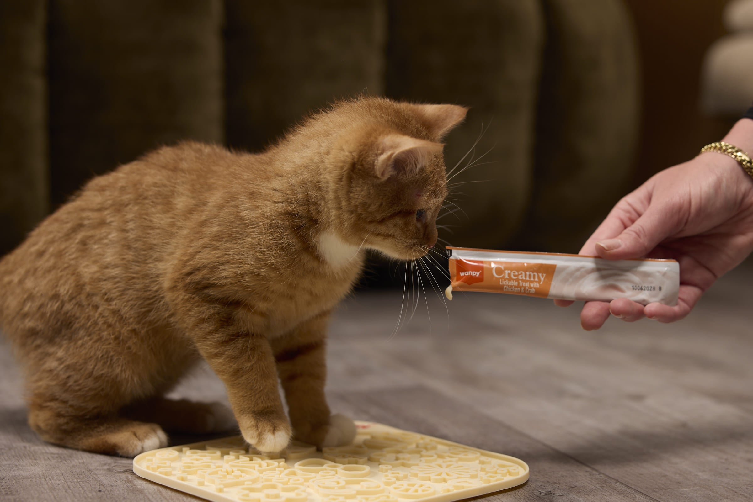 Vloeibare kattensnack bewaren na openen: wat doe je met een half zakje?