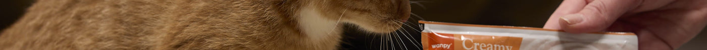 Vloeibare kattensnack bewaren na openen: wat doe je met een half zakje?