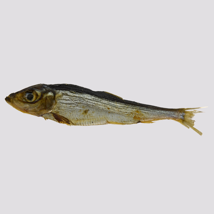Kapitein Jacob – Gedroogde haring – 300 gram