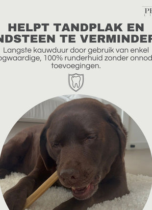 Petstyle Living - Gepresste Kaustangen 20 cm - 20 Stück 