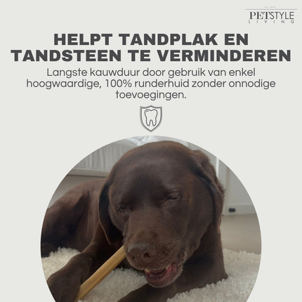 Petstyle Living - Chewing Sticks Pressed 13cm - 50 Pieces