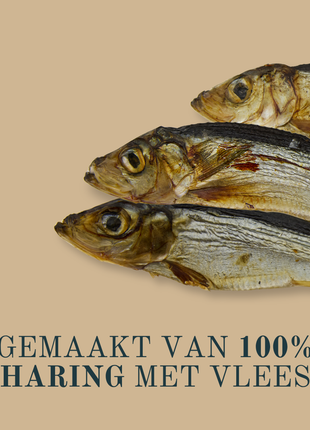 Kapitein Jacob – Dried herring – 750 grams