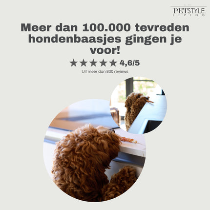 Petstyle Living - Gedraaide Sticks met Kip 12.5cm - 100 Stuks