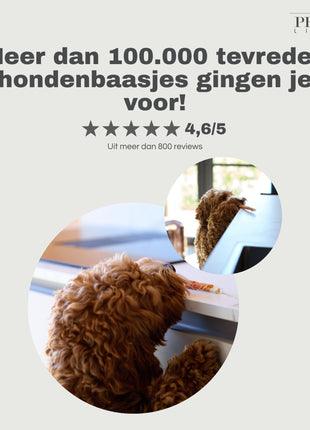 Petstyle Living - Twisted Sticks with Chicken 12.5cm - 30 Pieces