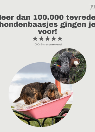 Petstyle Living - Knotted Bones with Chicken 11cm - 20 Pieces