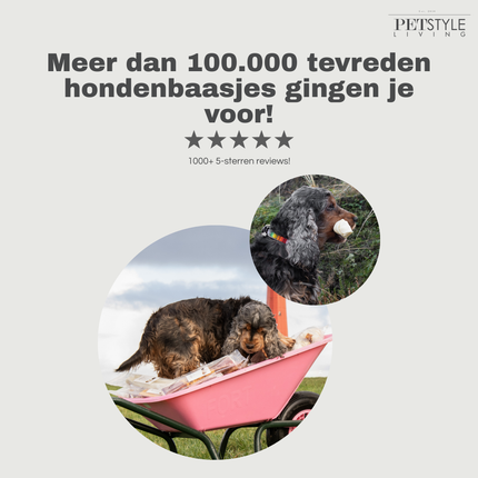 Petstyle Living - Geknoopte Botten met Kip 11cm - 20 Stuks