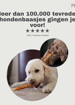 Petstyle Living - Kauwstaven Meerkleurig met Kip & Rund 20cm - 20 Stuks