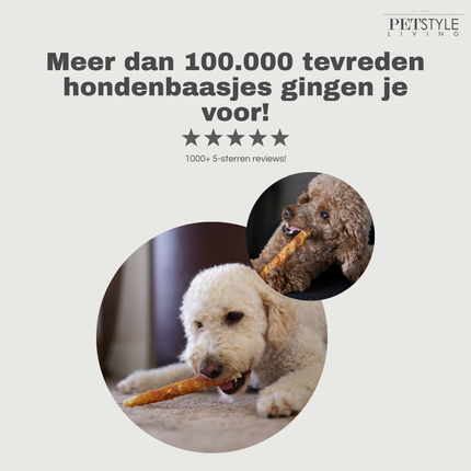 Petstyle Living - Kaustangen mit Ente 20 cm - 20 Stück