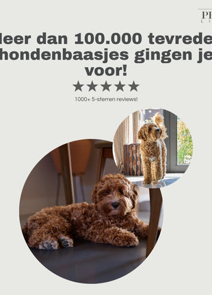 Petstyle Living - Gedrehte Kollagen-Sticks 12,5 cm - 50 Stück
