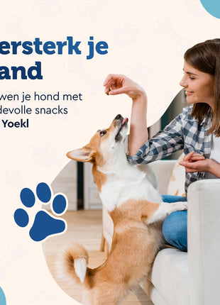 YOEKL - Chicken Fillet 900 Grams