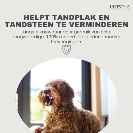 Petstyle Living – Hanteln – 1 kg